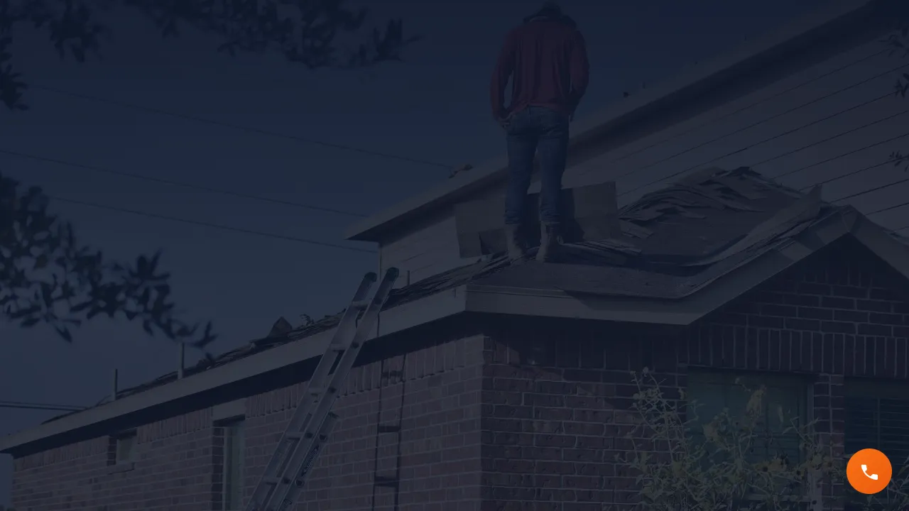 Screenshot of Agencija Migu - Izrada Websajtova i Marketing Agencija