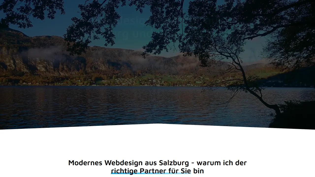 Screenshot of AlpinMEDIA