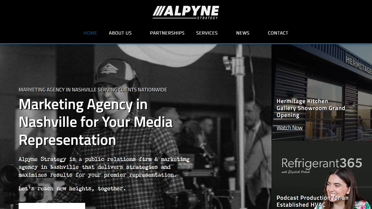 Screenshot of Alpyne Strategy