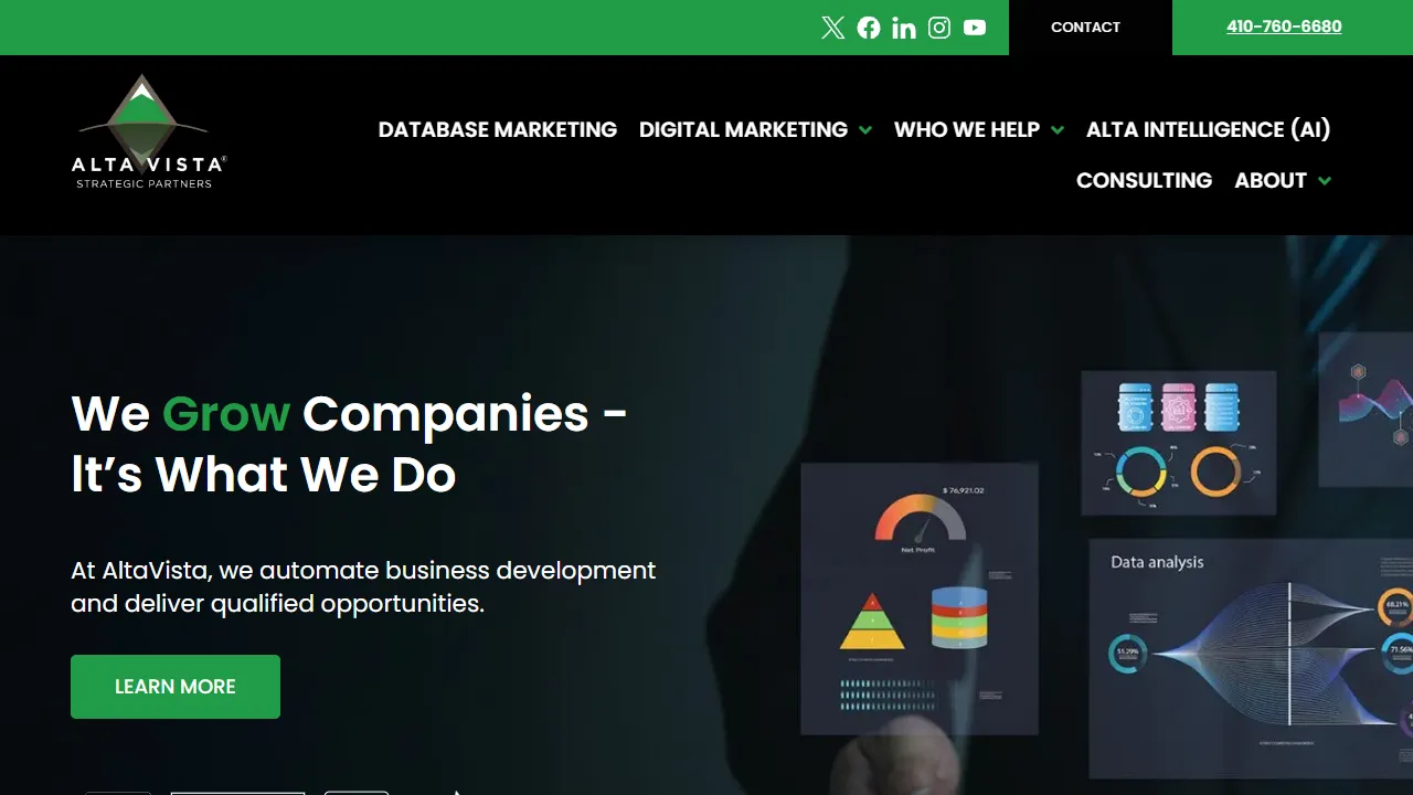 Screenshot of AltaVista Strategic Partners