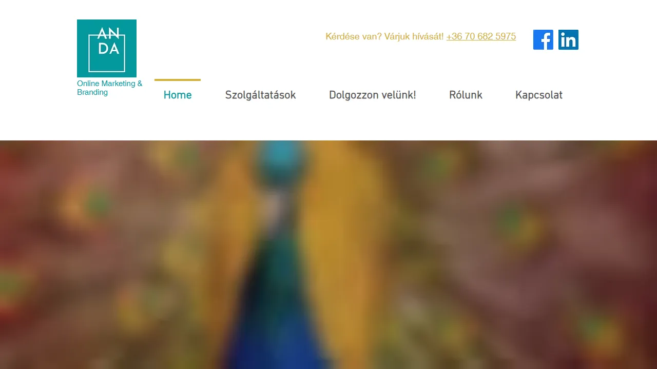 Screenshot of Anda Marketing Co.