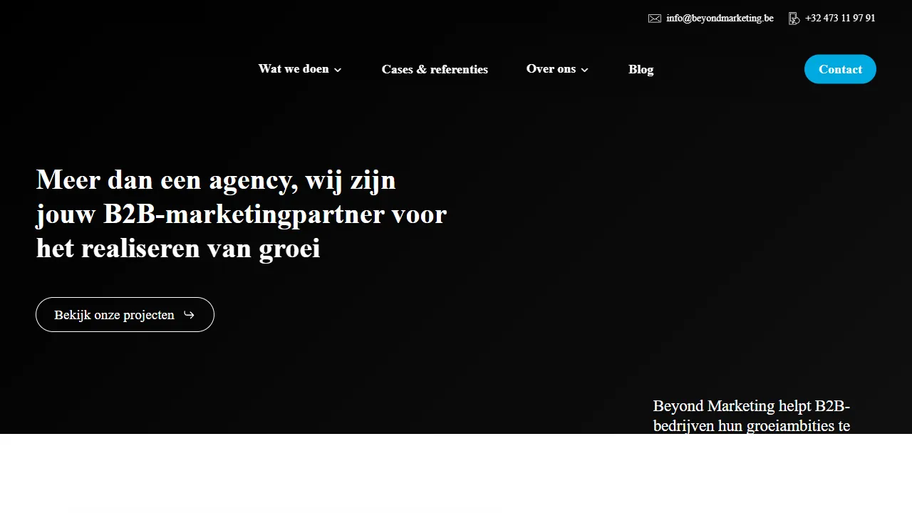 Screenshot of Beyond Marketing