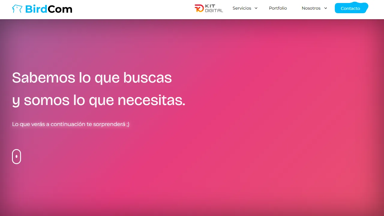 Screenshot of BirdCom Agencia de Marketing Digital