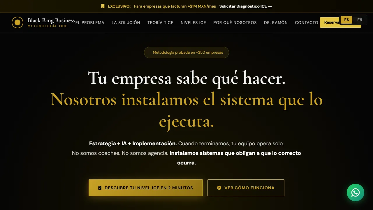 Screenshot of Black Ring Business S.A.S