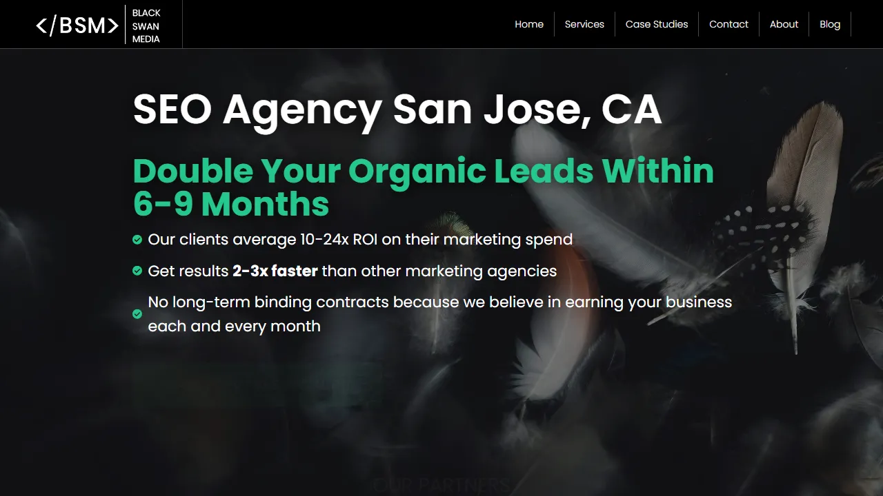 Screenshot of Black Swan Media