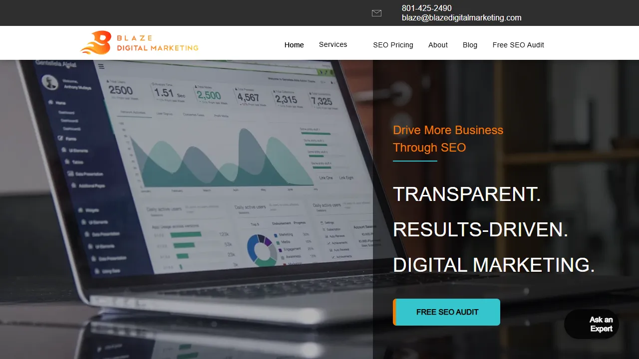 Screenshot of Blaze Digital Marketing