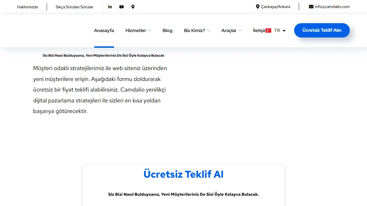Screenshot of Camdalio Dijital Pazarlama Ajansı