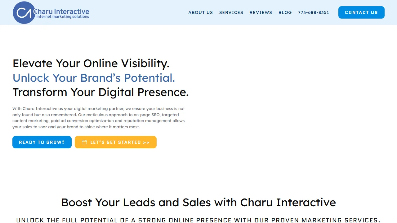 Screenshot of Charu Interactive, Inc.