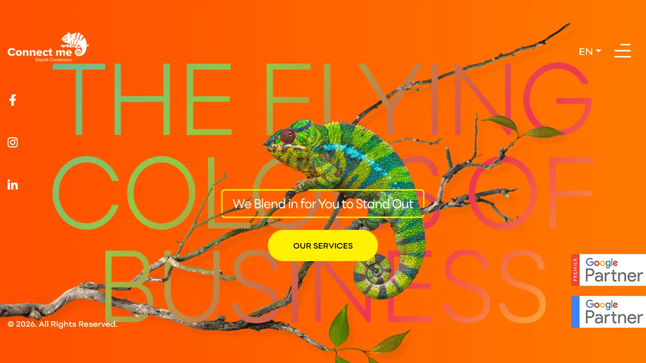 Screenshot of Connect me | Digital Marketing & Advertising Agency