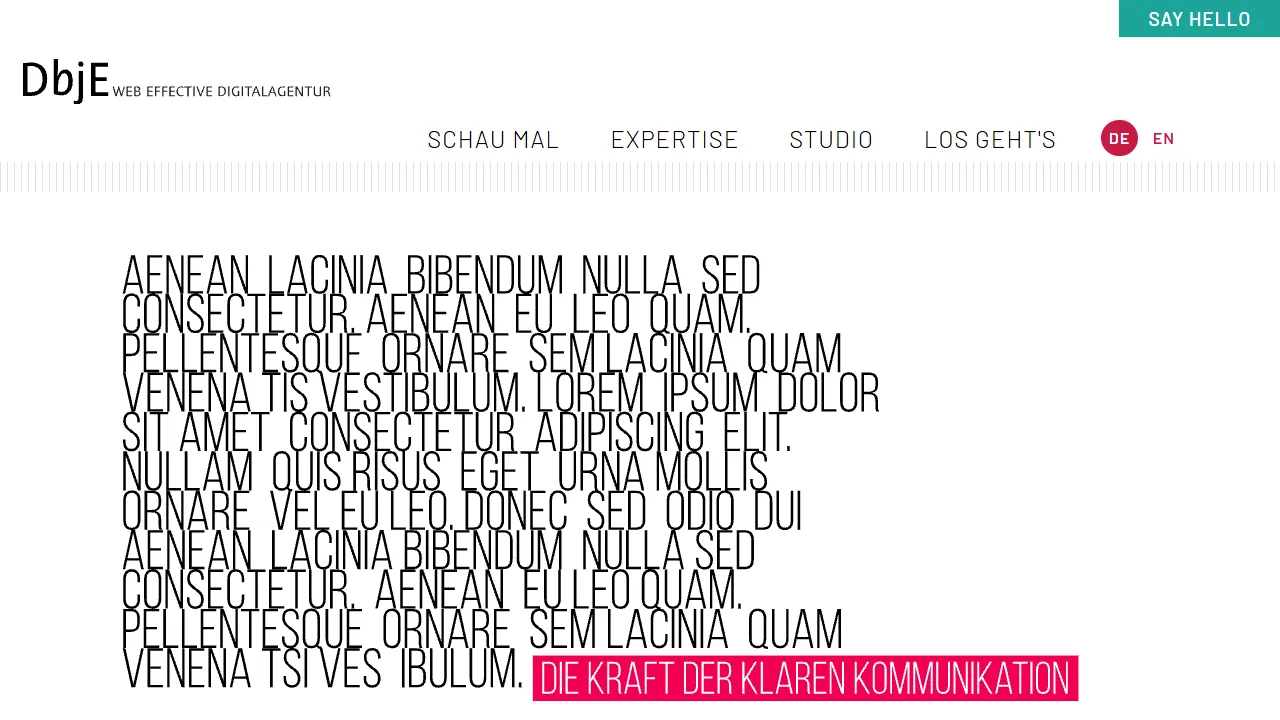 Screenshot of DbjE WEB EFFECTIVE Digitalagentur