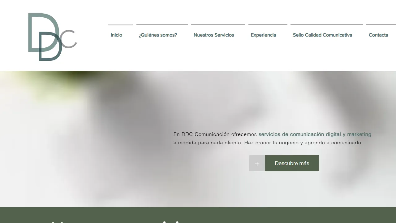 Screenshot of DDC Comunicación Digital Zaragoza