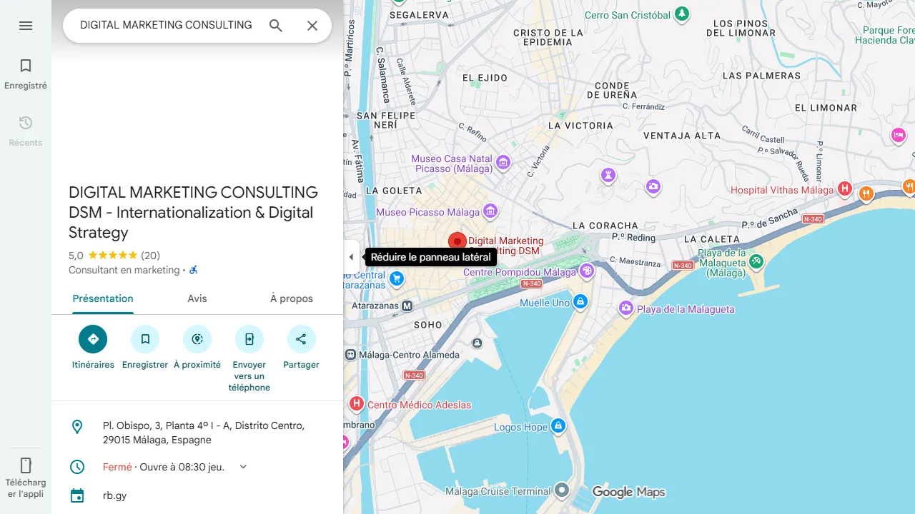 Screenshot of DIGITAL MARKETING CONSULTING DSM - Internationalization & Digital Strategy