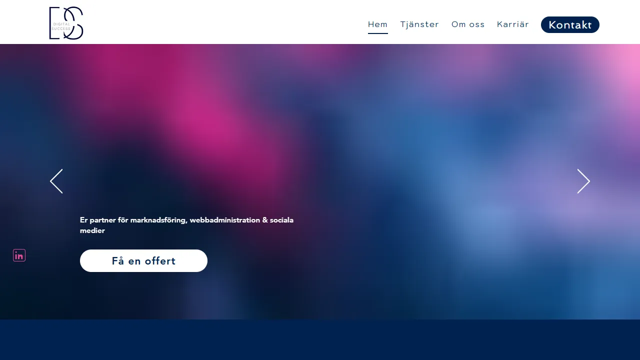 Screenshot of Digital Success