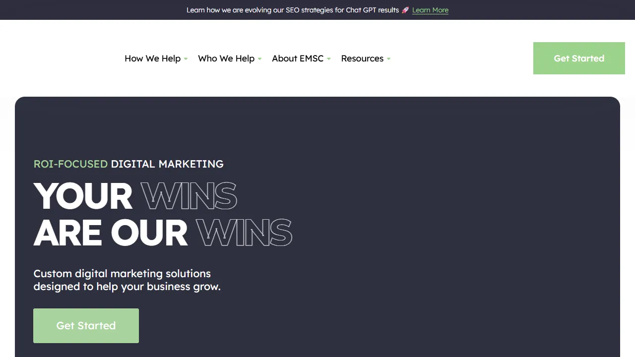 Screenshot of EM Search Consulting, LLC.