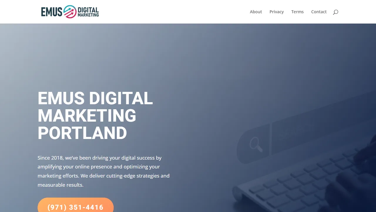 Screenshot of Emus Digital Marketing