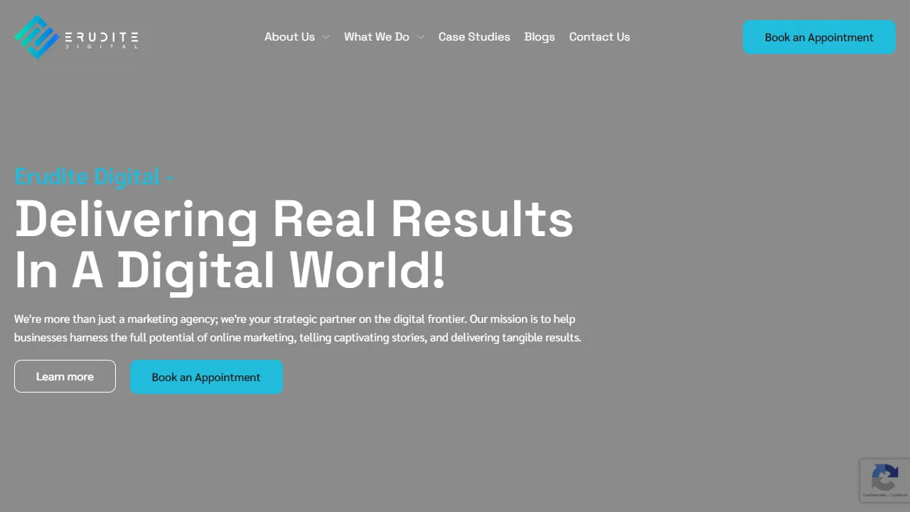 Screenshot of Erudite Digital | Marketing and Video