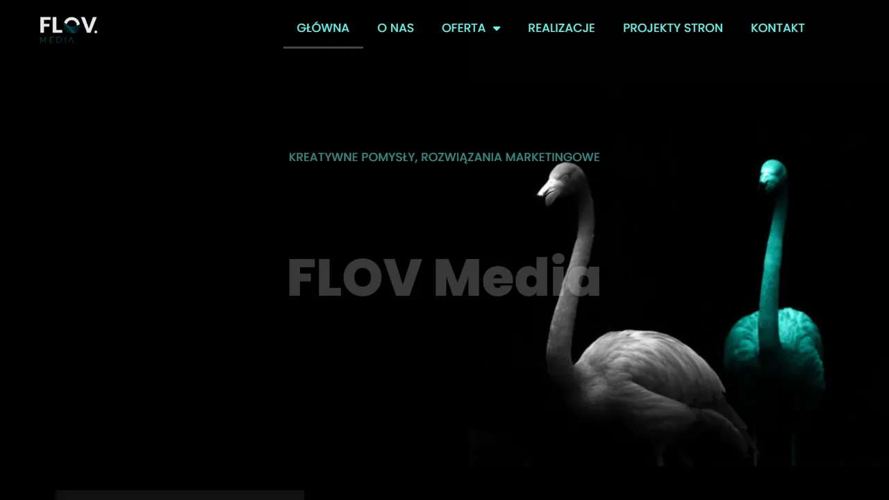 Screenshot of FLOV Media Maja Krymska