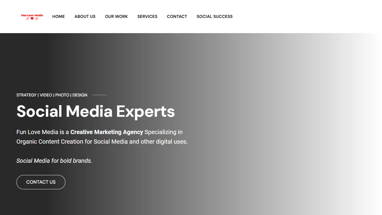 Screenshot of Fun Love Media