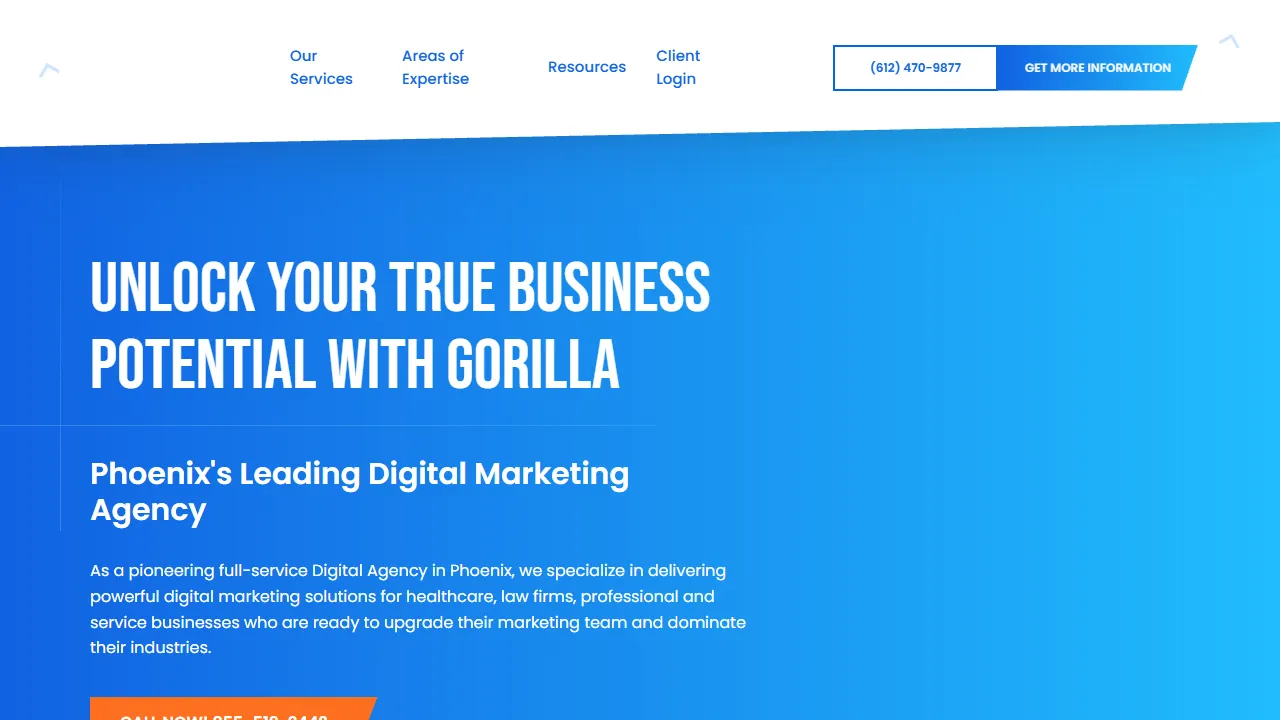 Screenshot of Gorilla Marketing