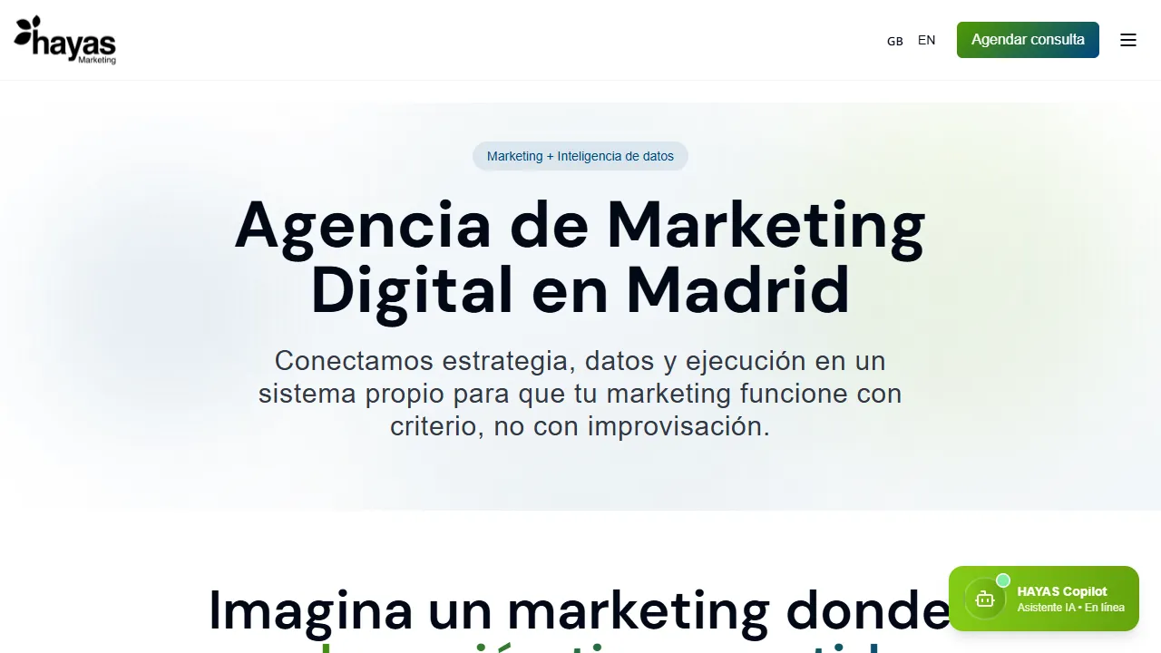 Screenshot of Hayas Marketing