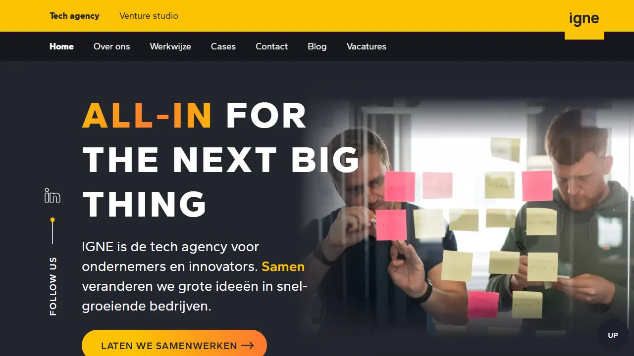 Screenshot of IGNE — Digital Agency