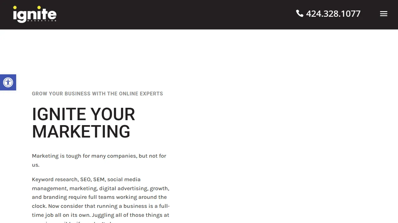 Screenshot of Ignite Marketing