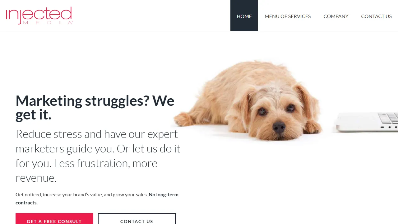 Screenshot of Injected Media