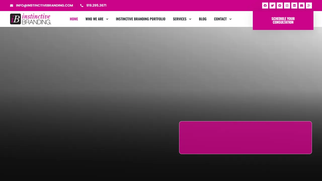 Screenshot of Instinctive Branding