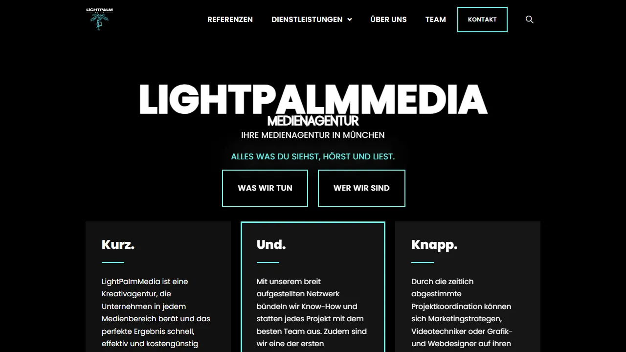 Screenshot of LightPalmMedia GmbH