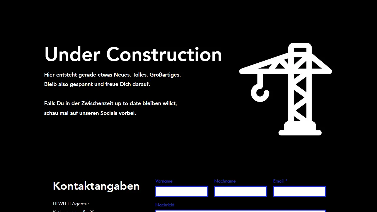 Screenshot of LILWITTI Marketing Agentur