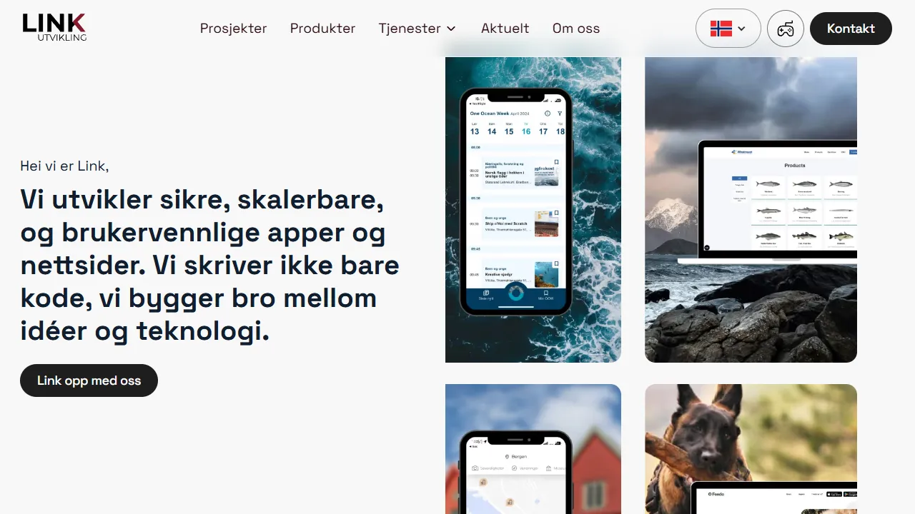 Screenshot of Link Utvikling AS
