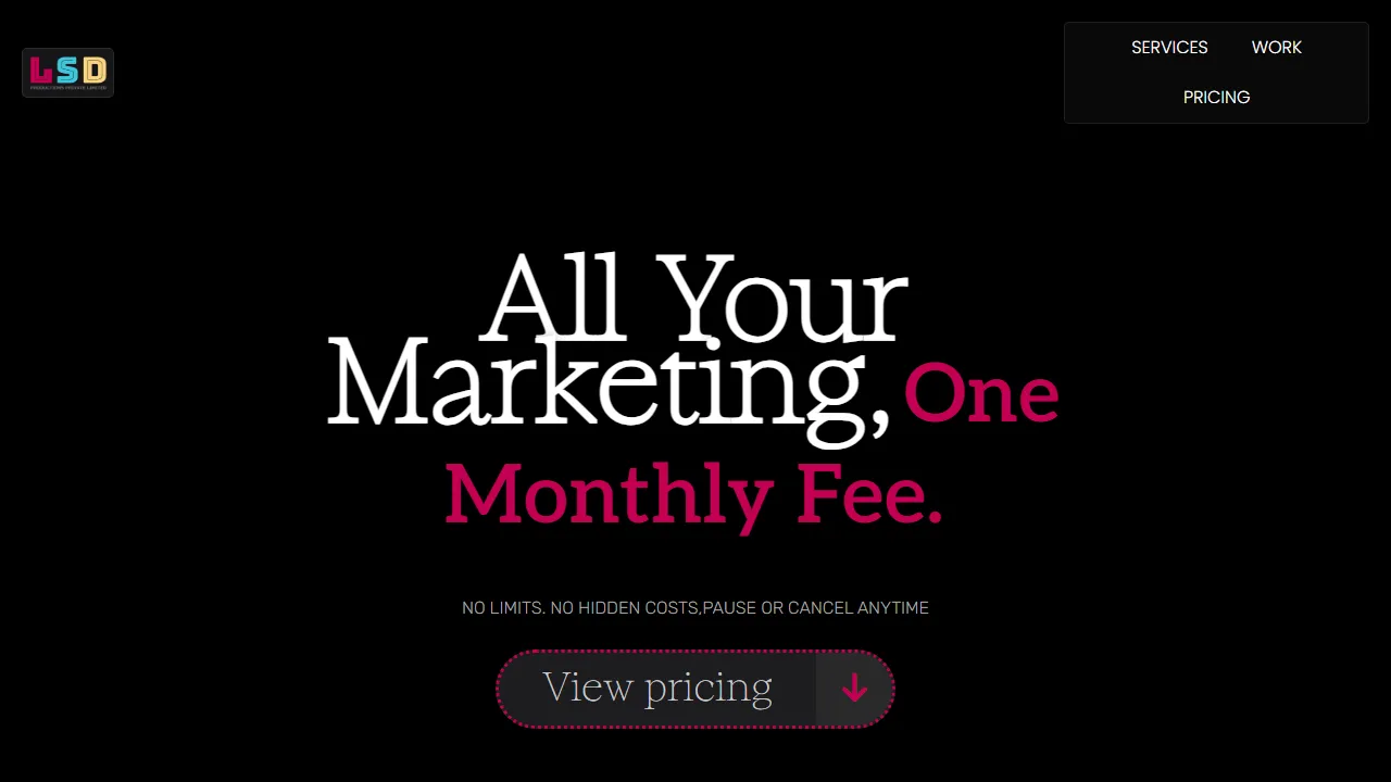 Screenshot of LSD Productions Private Limited