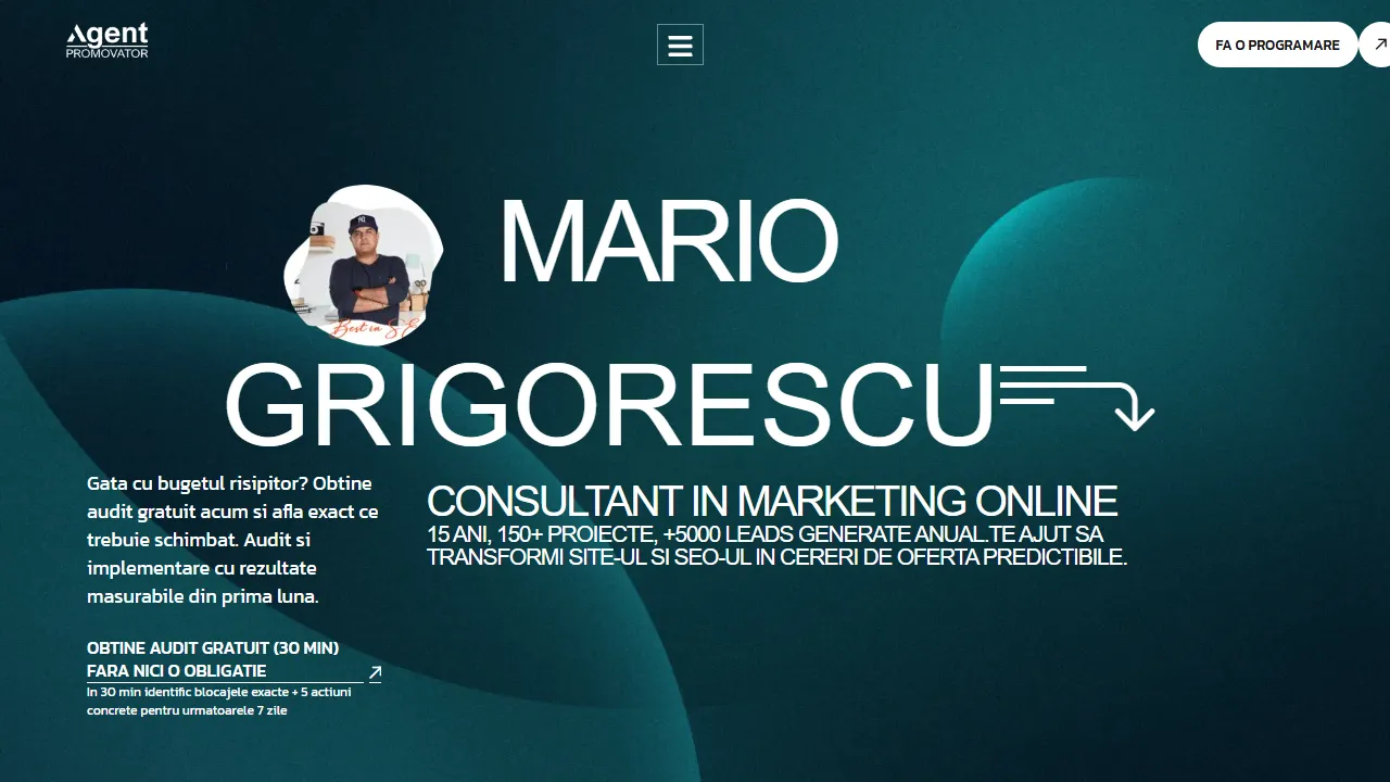 Screenshot of Mario Grigorescu - Consultant in Marketing Online