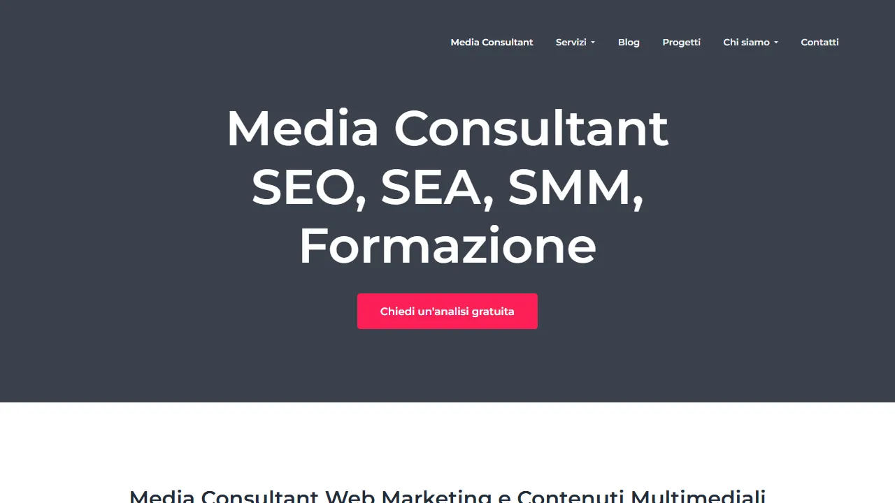 Screenshot of Media Consultant