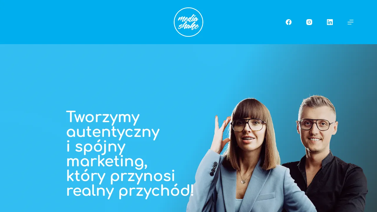 Screenshot of mediashake