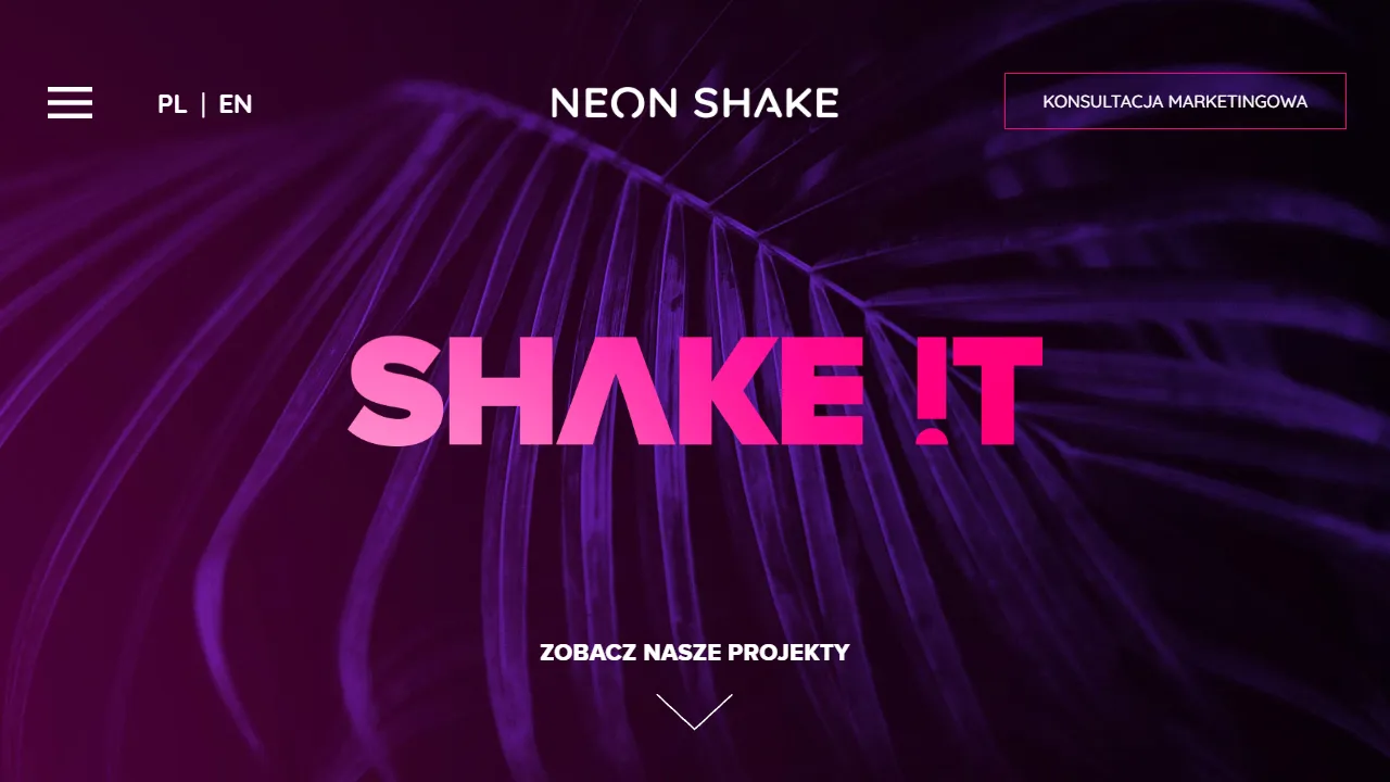 Screenshot of NEON SHAKE