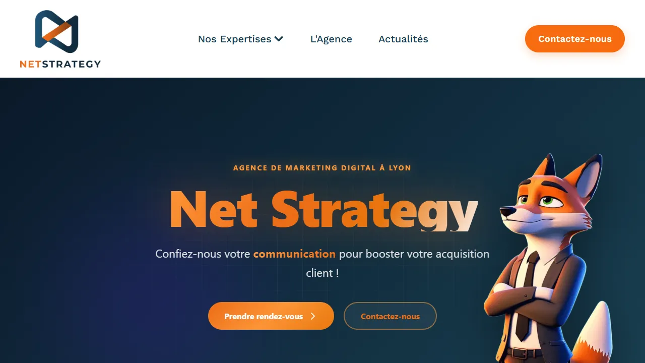 Screenshot of Net Strategy - Agence SEO & Marketing Digital Lyon