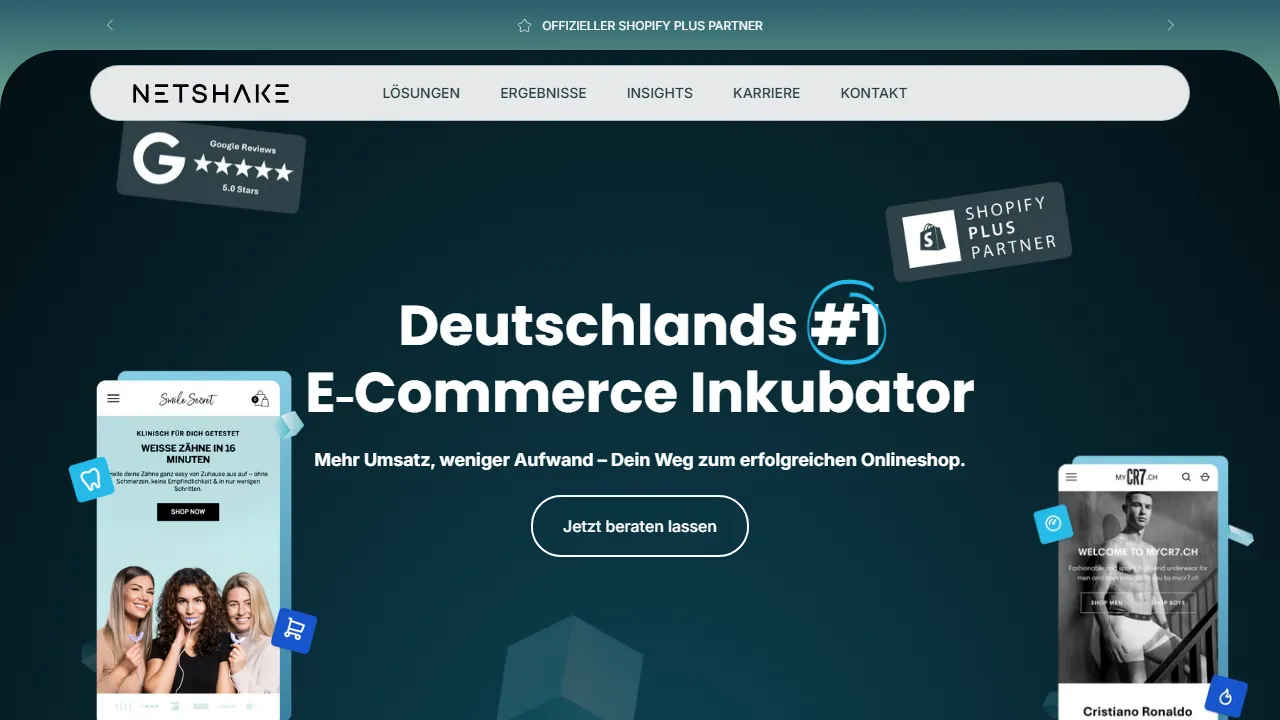 Screenshot of NETSHAKE GmbH