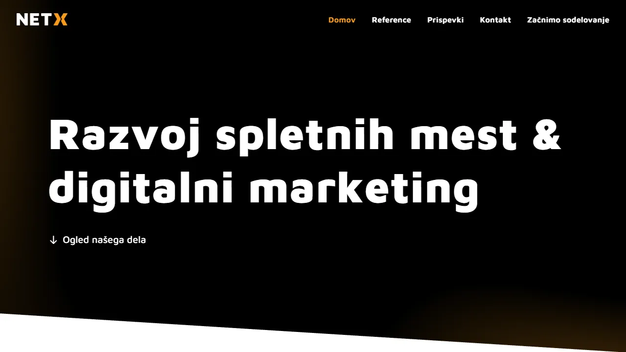 Screenshot of NETX, Spletne rešitve in digitalni marketing