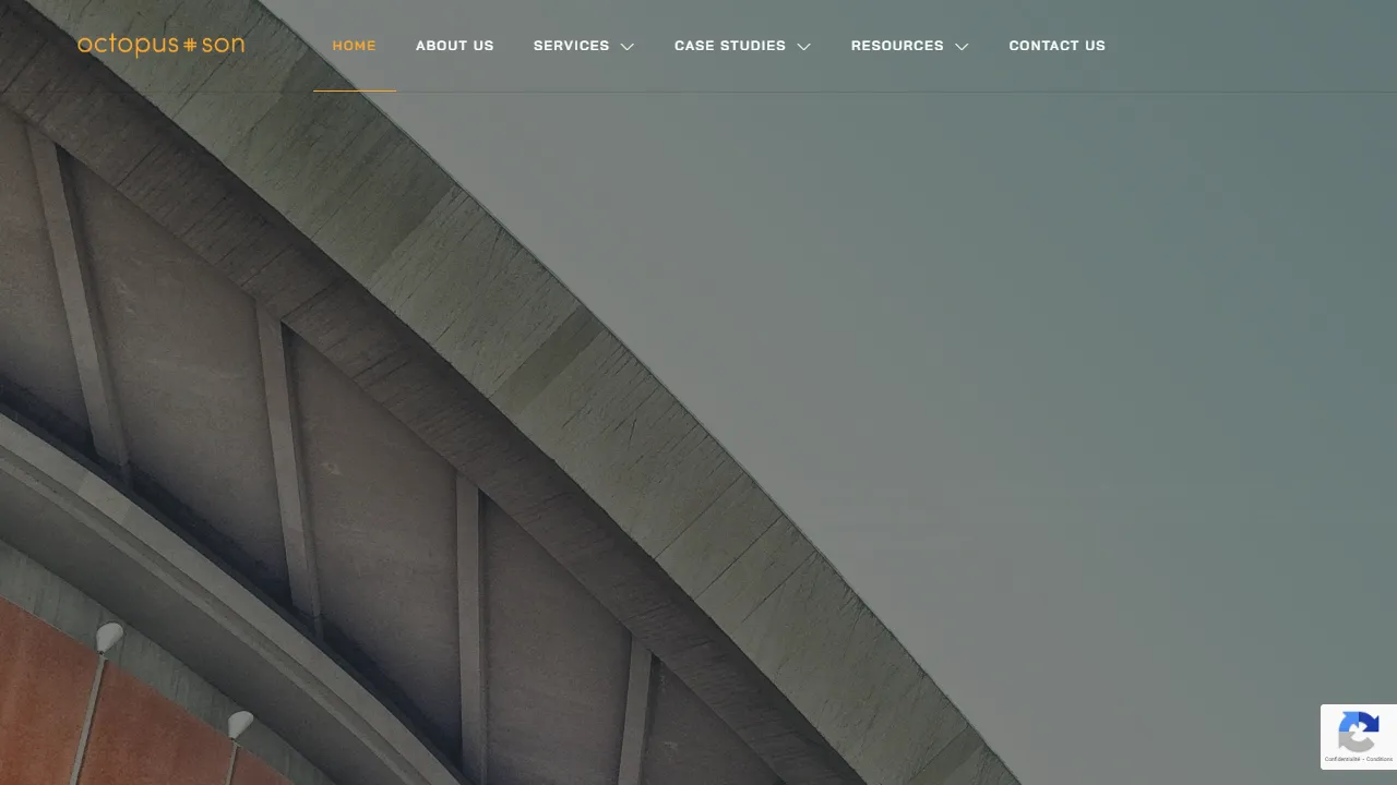 Screenshot of Octopus & Son Social Media Inc.