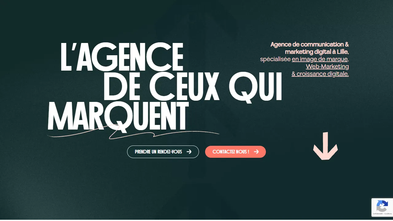 Screenshot of PAOMA® Studio