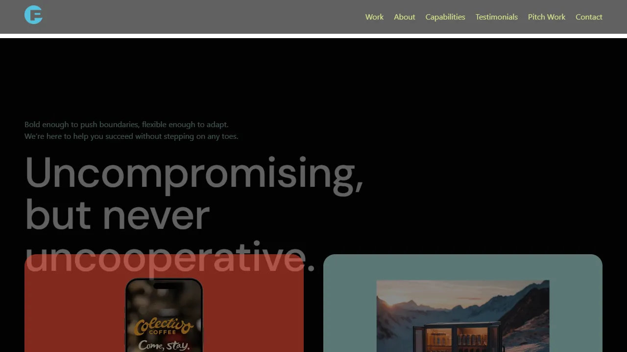 Screenshot of Pellizzi & Co.