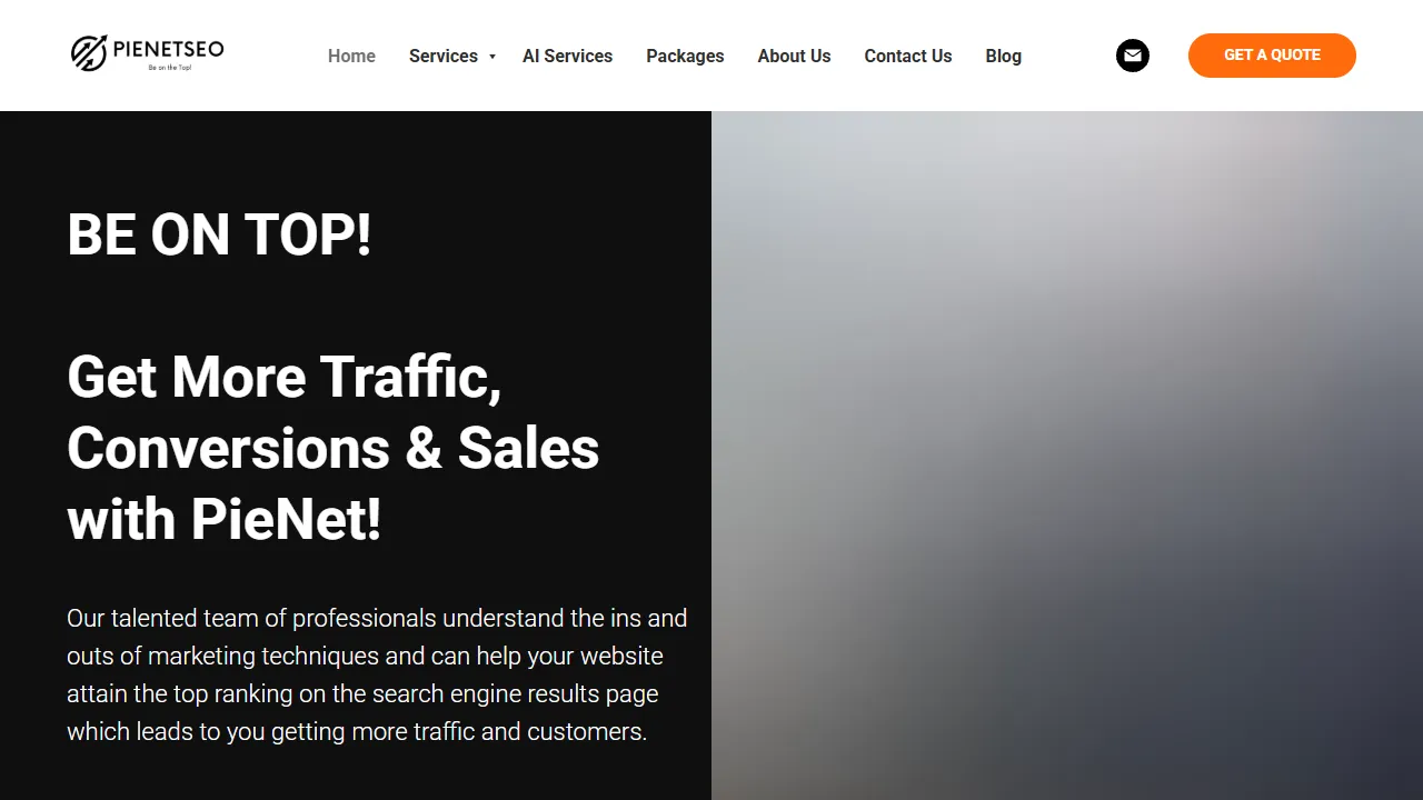 Screenshot of PienetSEO