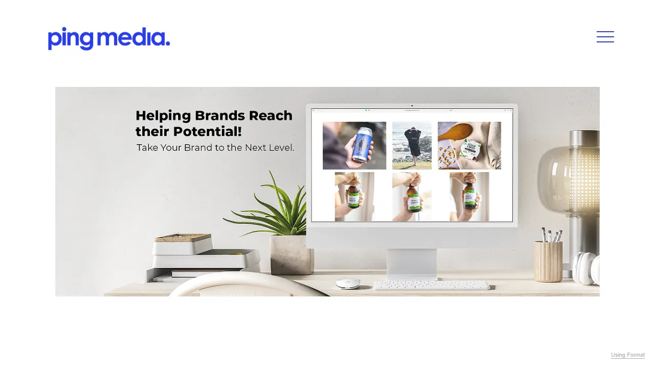 Screenshot of Ping Media Management