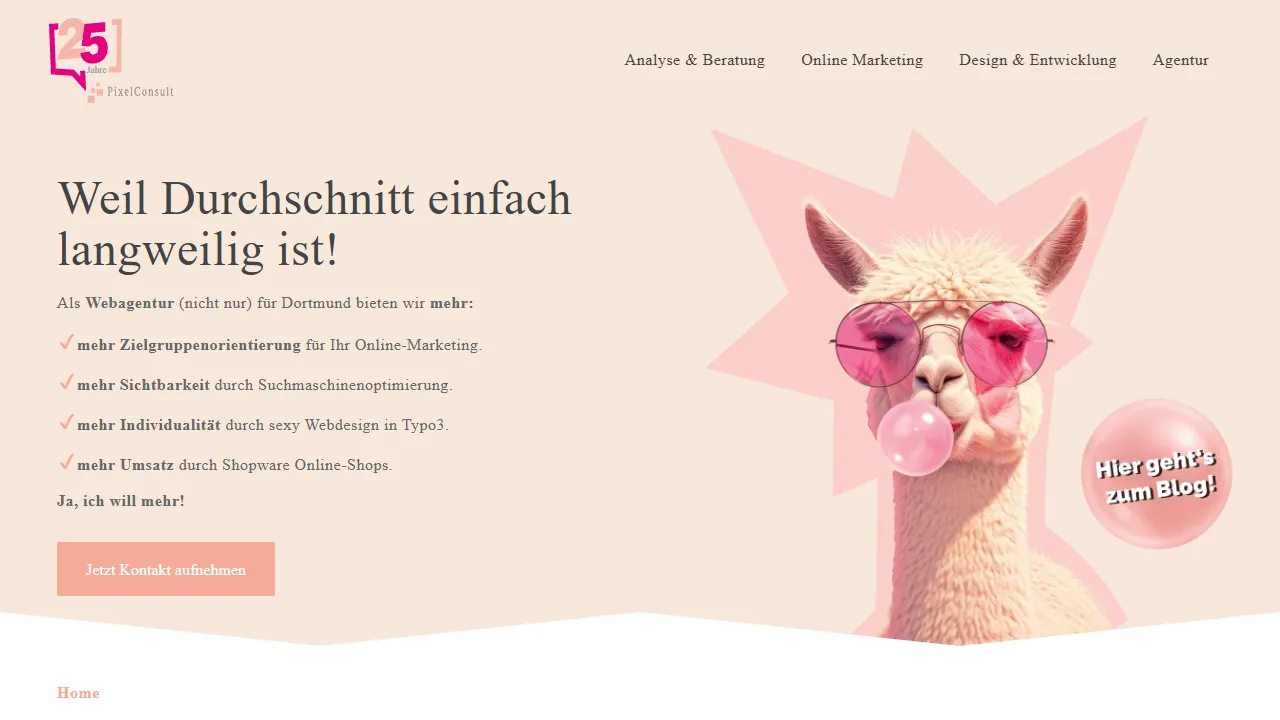 Screenshot of PixelConsult GmbH