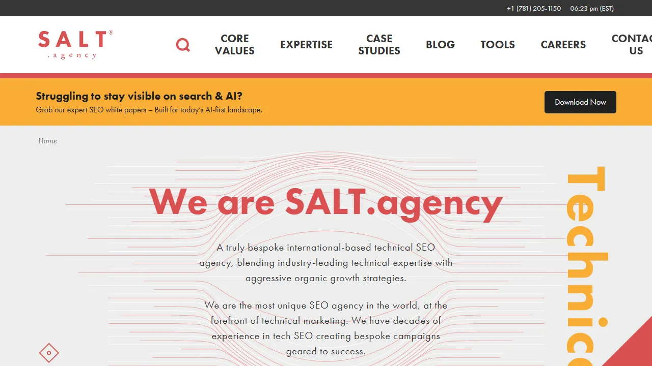 Screenshot of SALT.agency®