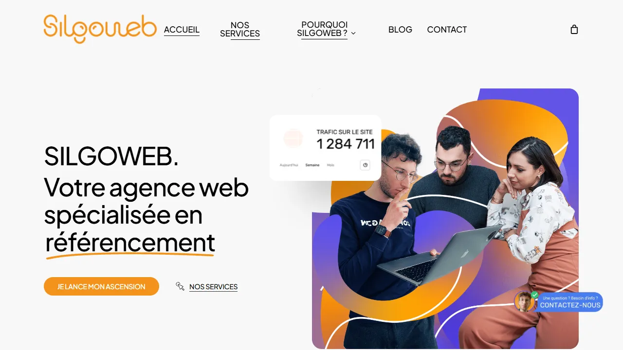 Screenshot of Silgoweb