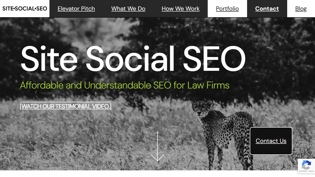 Screenshot of Site Social SEO