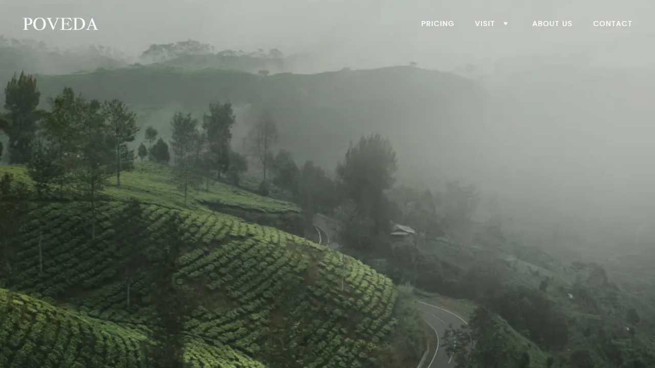 Screenshot of Skalia - Agence Marketing Montréal