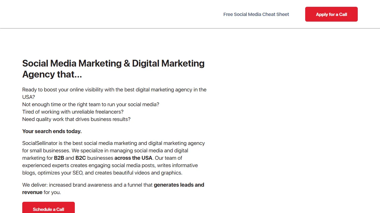 Screenshot of SocialSellinator